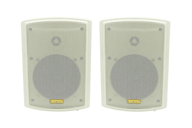 ON-54 Satellite indoor/outdoor all-weather, monitor-style speakers
